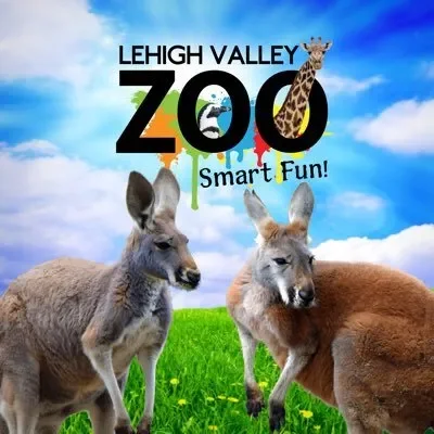 Lv Zoo Promo Codes