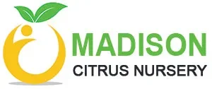 MadisonCitrusNursery Coupons