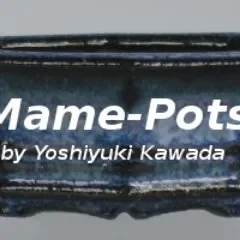 Mame Pots Promo Codes