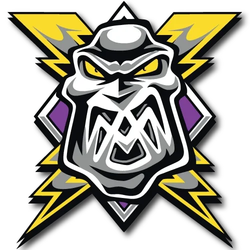 Manchester Storm Promo Codes