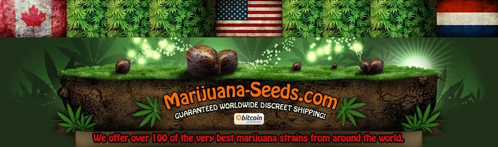 Marijuana Seeds Promo Codes