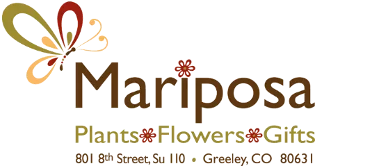 Mariposa Flowers Promo Codes