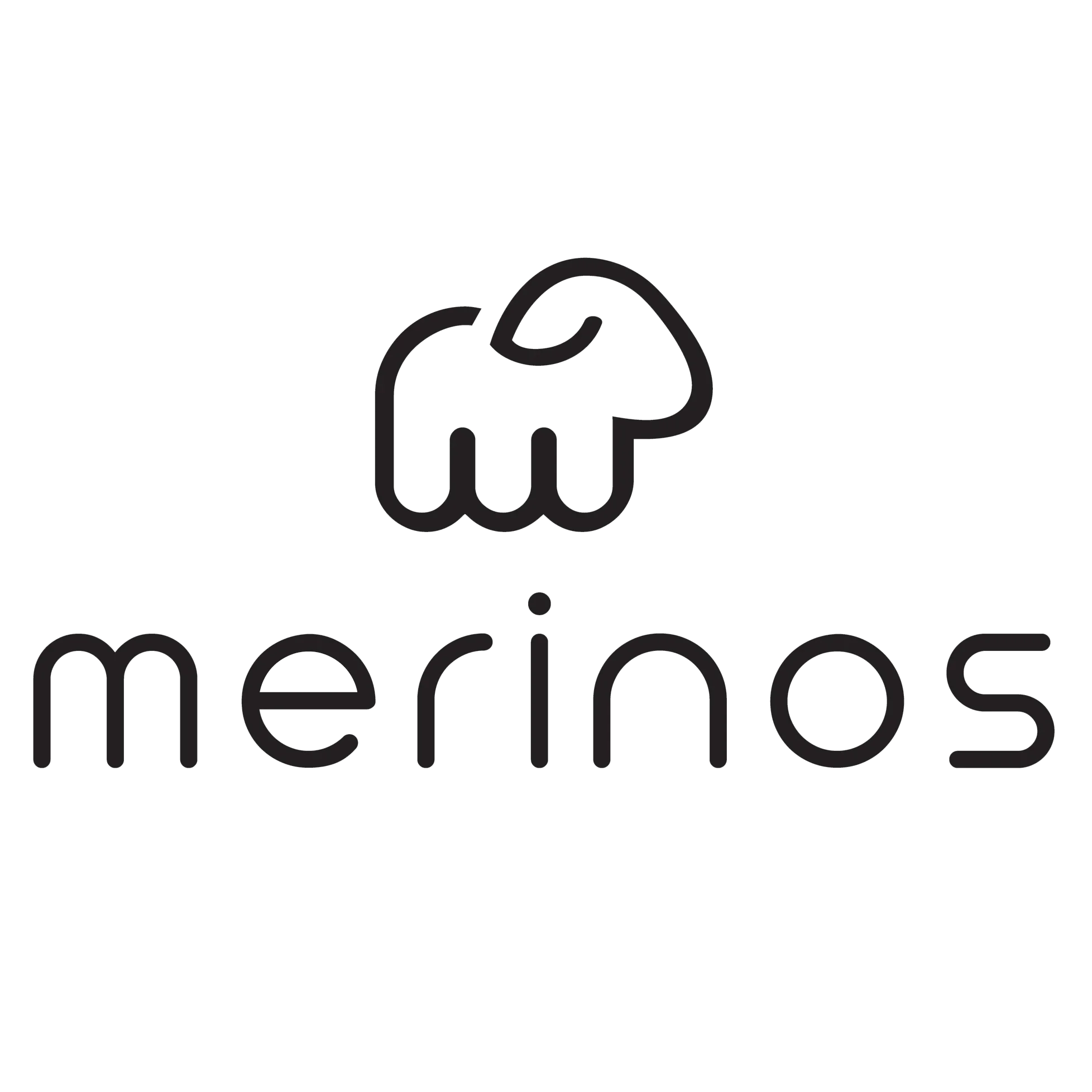 Merino Shoes Coupons