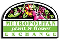 Metropolitan Plant Exchange Promo Codes