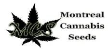 Montreal Cannabis Seeds Coupons