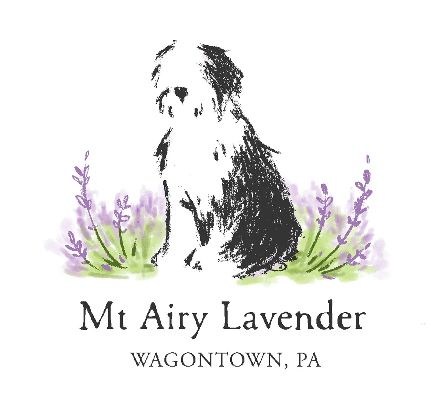 Mt Airy Lavender Coupons