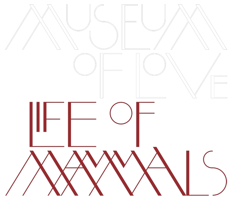 Museum of Love Promo Codes