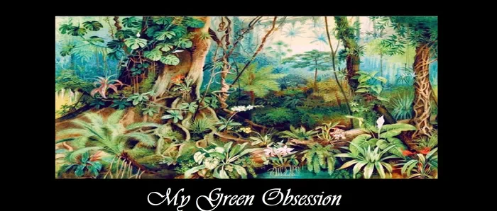 My Green Obsession Promo Codes