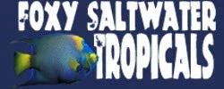 Mysaltwaterfishstore Promo Codes