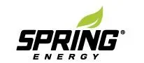 Myspringenergy Promo Codes