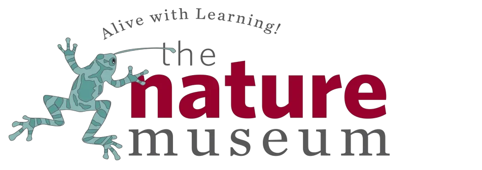 Nature Museum Promo Codes