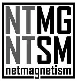 Netmagnetism Promo Codes