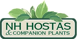 NH Hostas Promo Codes