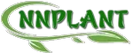 Nnplant Promo Codes