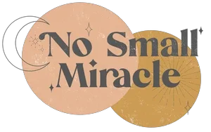 no small miracle children's boutique Promo Codes