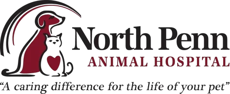 north penn animal hospital Promo Codes