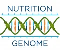 Nutrition Genome Coupons