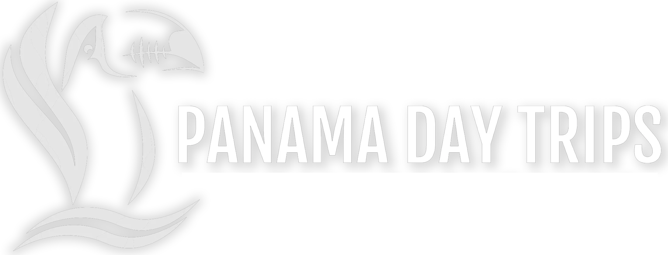 Panama Day Trips Promo Codes