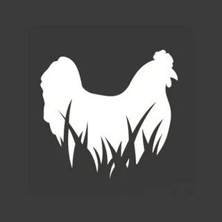 Pasturebird Promo Codes