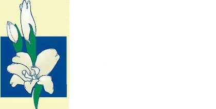 Patterson Flowers Promo Codes