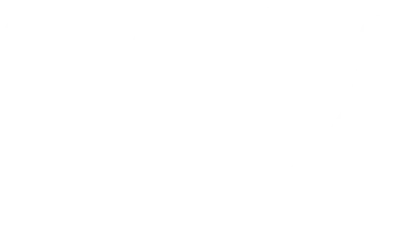 Pearlii Coupons