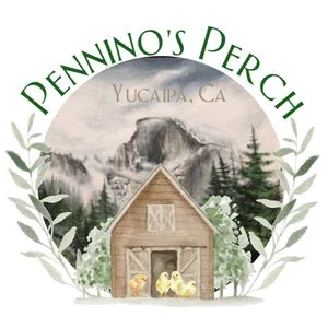 Pennino's Perch Coupons