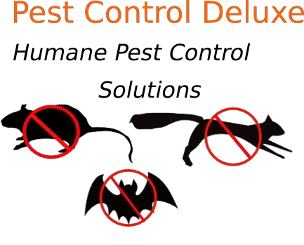 Pest Control Deluxe Promo Codes