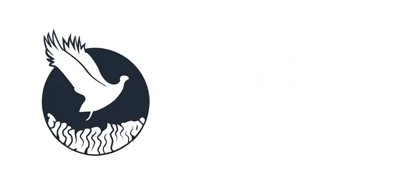 Phoenix Down Outlet Promo Codes