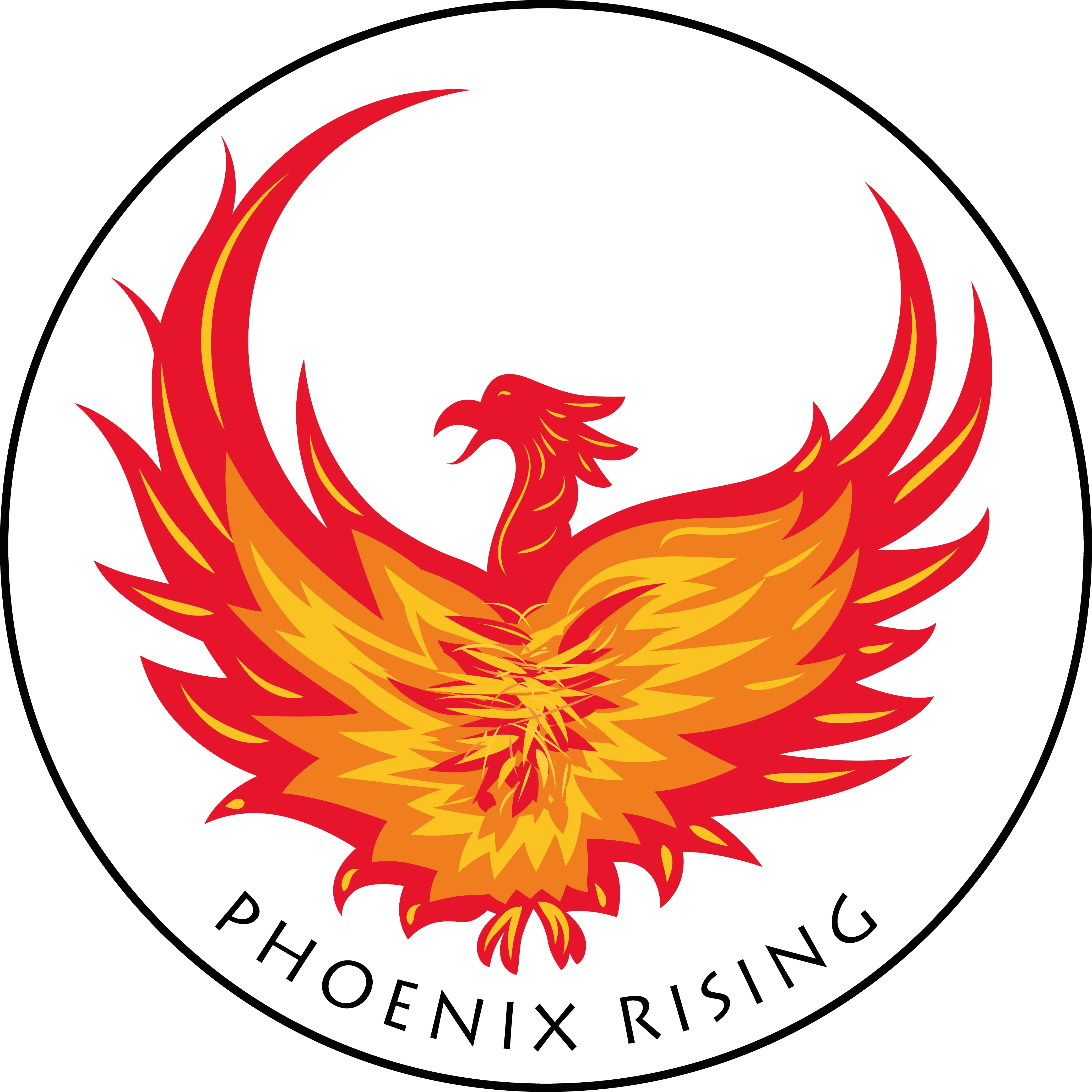 Phoenix Rising Coupons