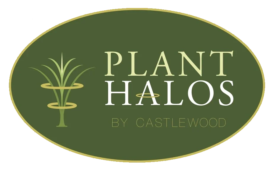 Plant Halo Promo Codes