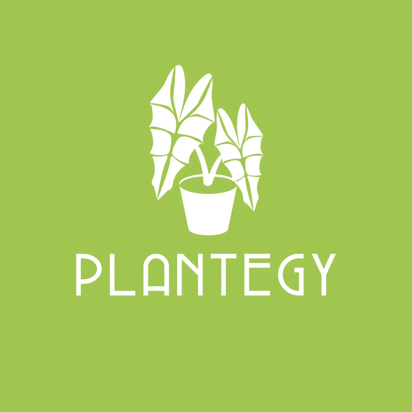 Plantegy Coupons