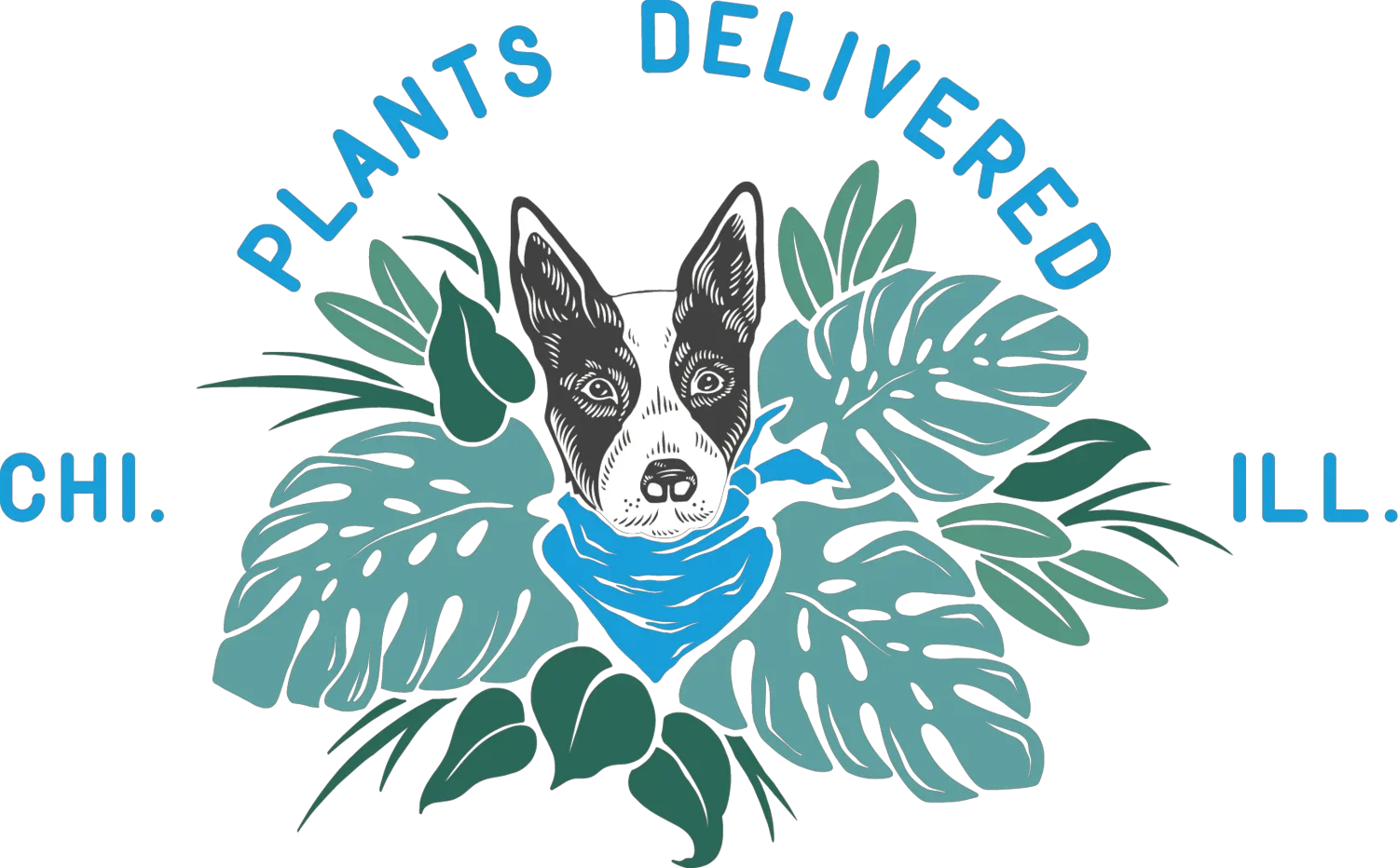 Plants Delivered Chicago Coupons