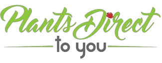 Plants Direct To You Promo Codes