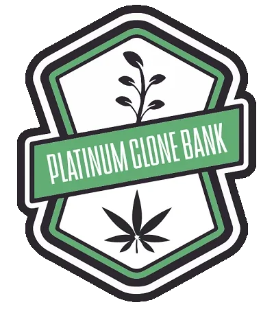 Platinum Seed Bank Promo Codes