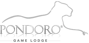 Pondoro Game Lodge Promo Codes