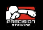 Precision Striking Promo Codes