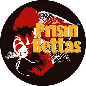 Prism Bettas Promo Codes