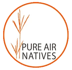 Pure Air Natives Promo Codes