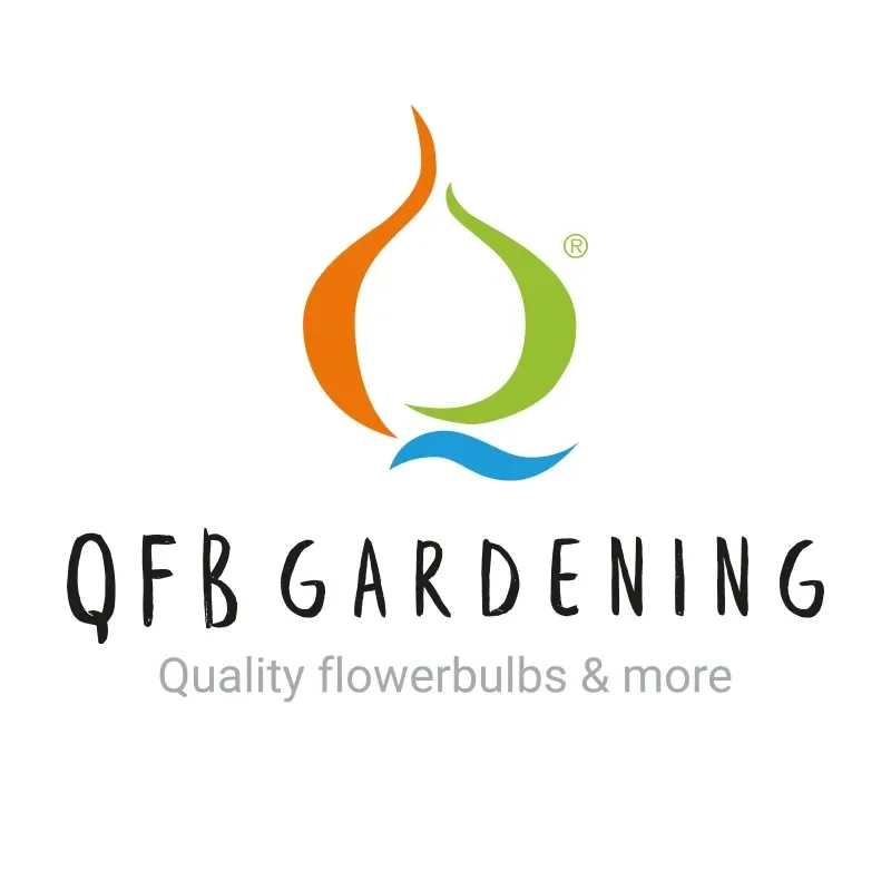 Queen Flowerbulbs Promo Codes