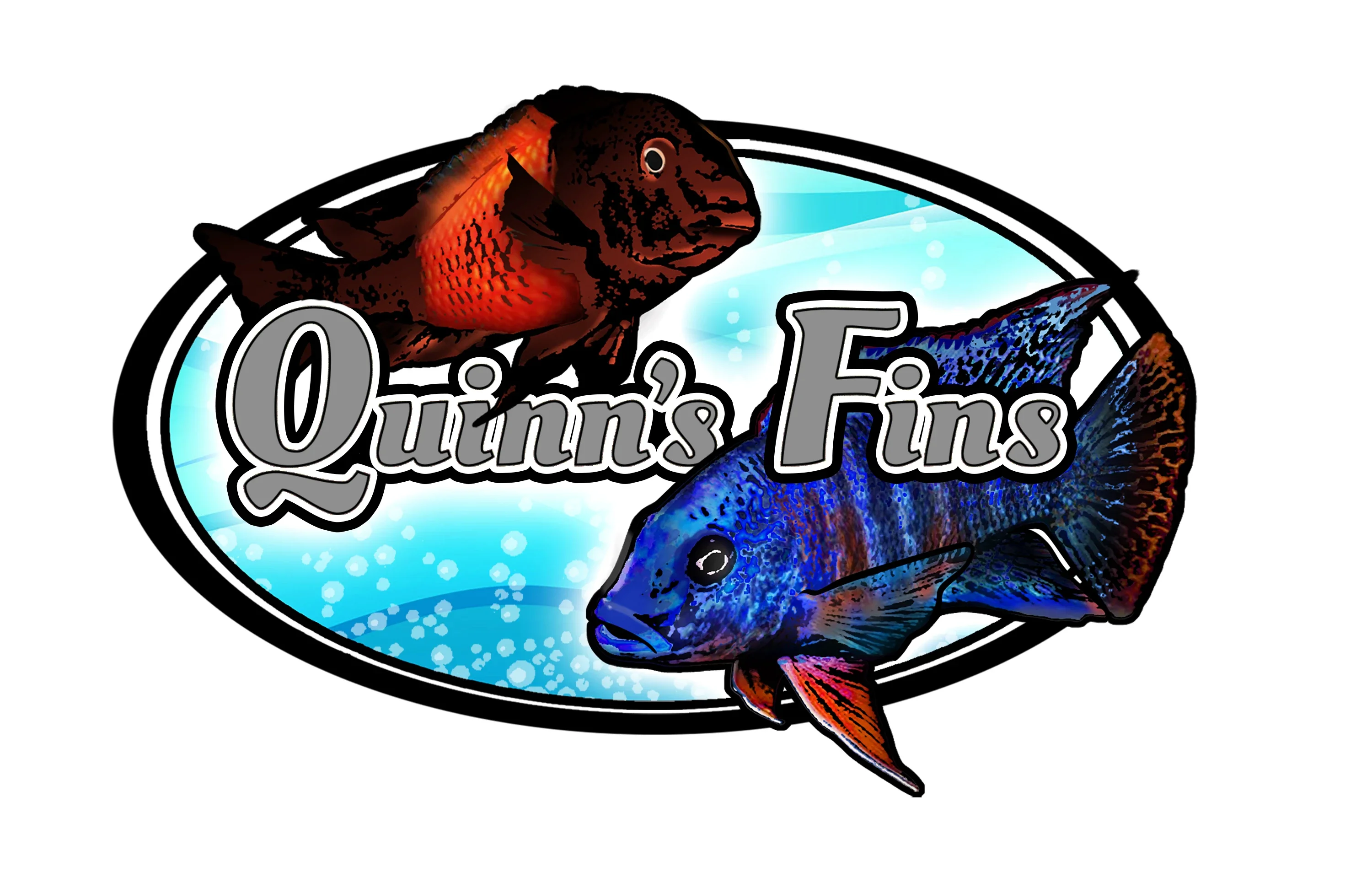 Quinns Fins Promo Codes