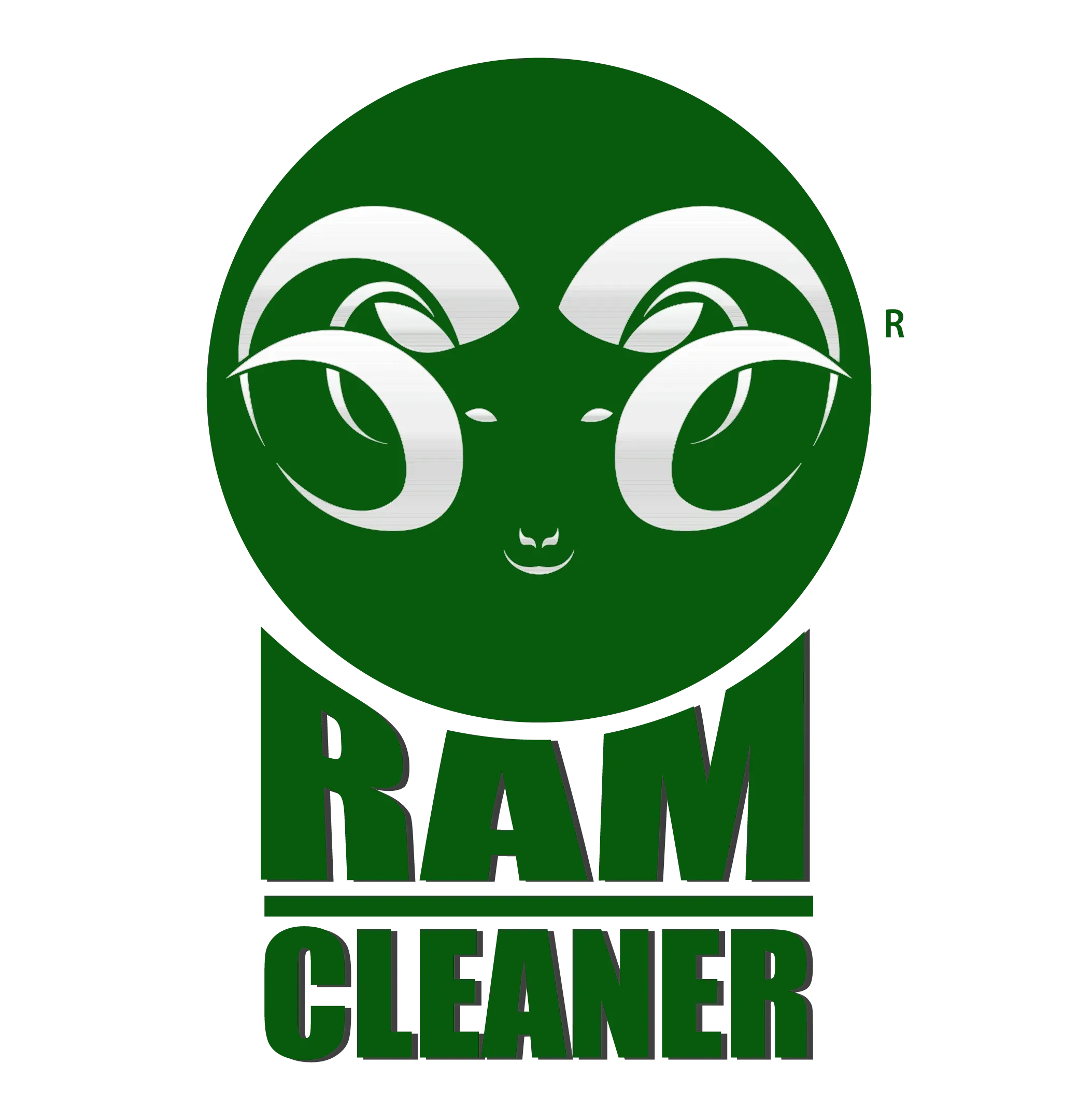 Ram Cleaner Promo Codes