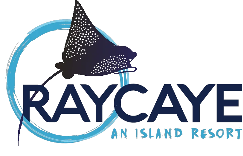 Ray Caye Promo Codes