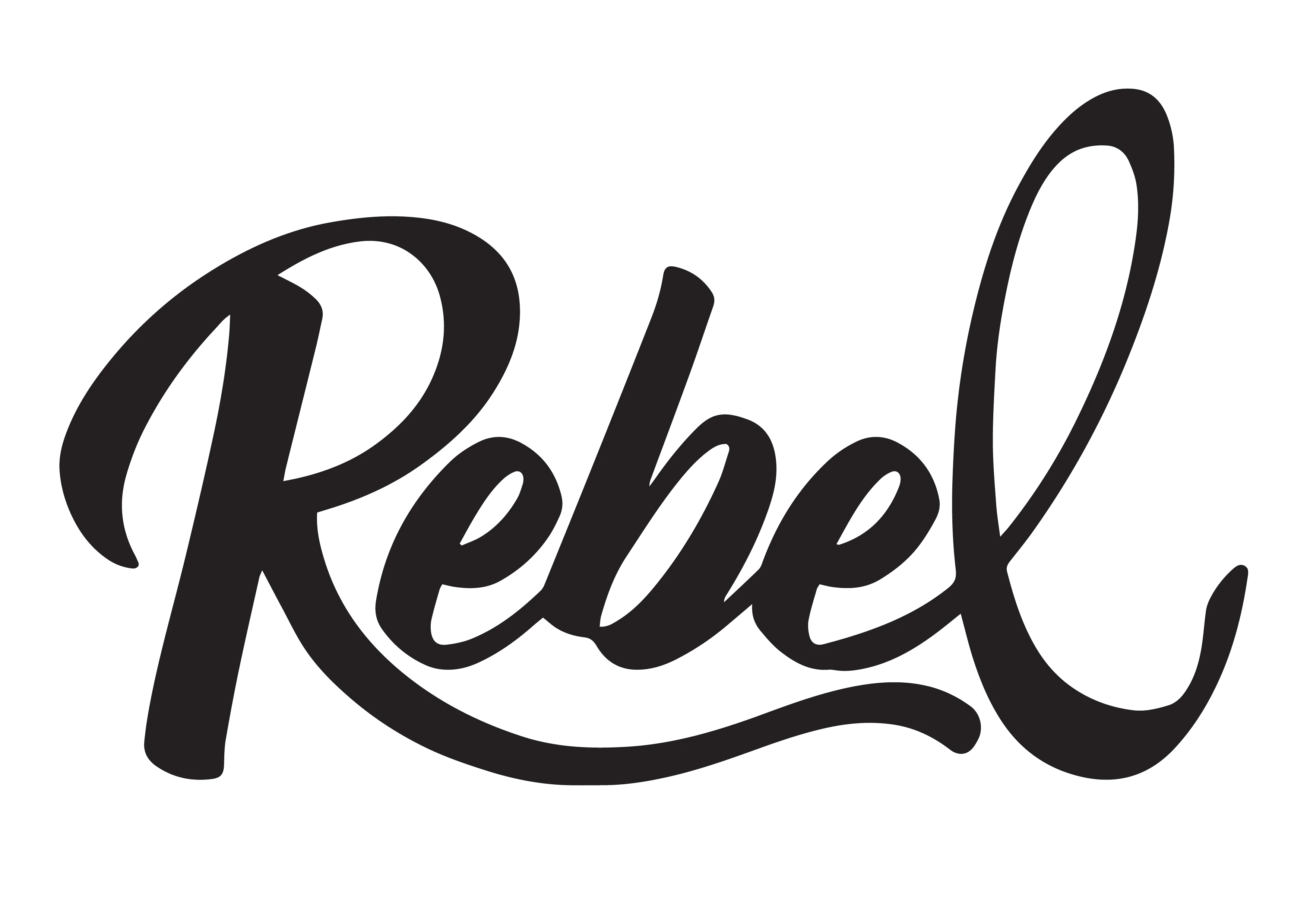 Rebel Creamery Promo Codes