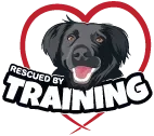 Rescued By Training Promo Codes