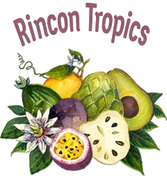 Rincon Tropics Promo Codes