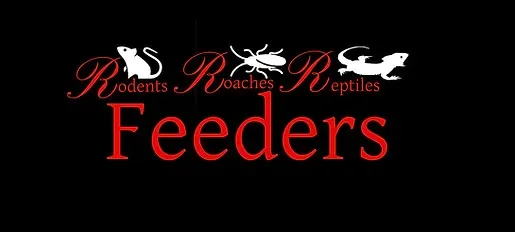 Rrr Feeders Promo Codes