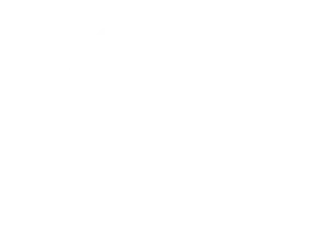 Ryan Ripley Promo Codes