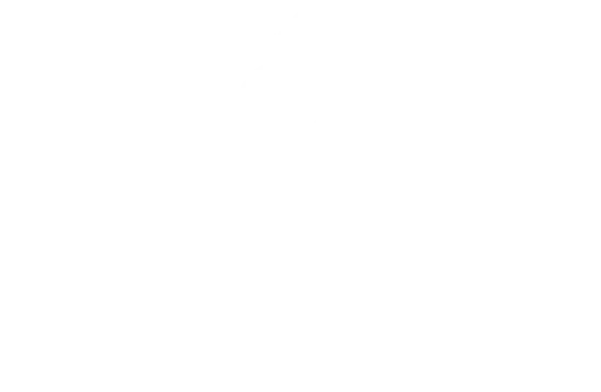 Salamander Spa Promo Codes