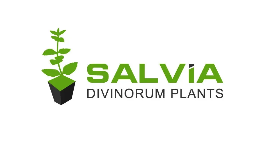 Salvia Divinorum Plants Promo Codes