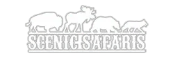 Scenic Safaris Promo Codes